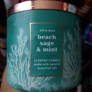 Bath & Body Works Beach Sage and Mint Candle